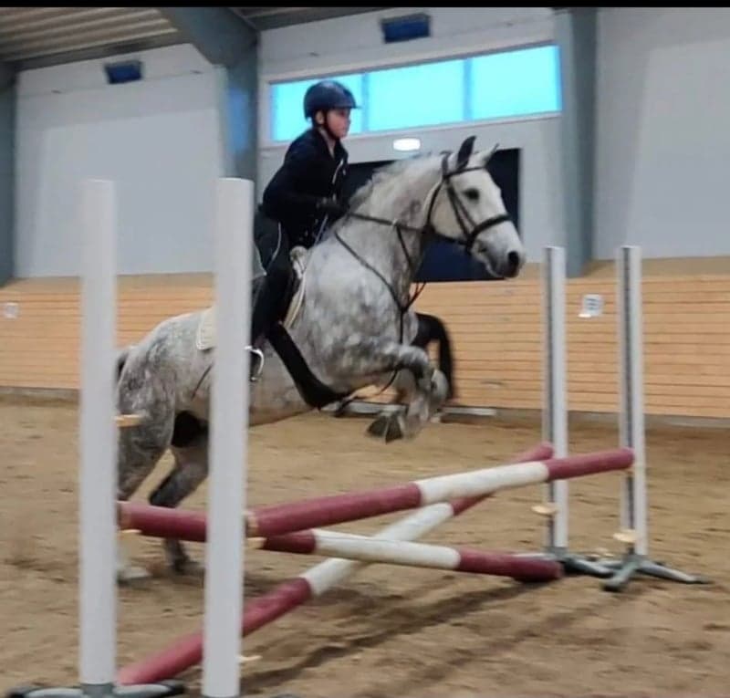 Bild 3 av Mirabell RC 1436