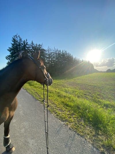 Inlägg 18 av Allround