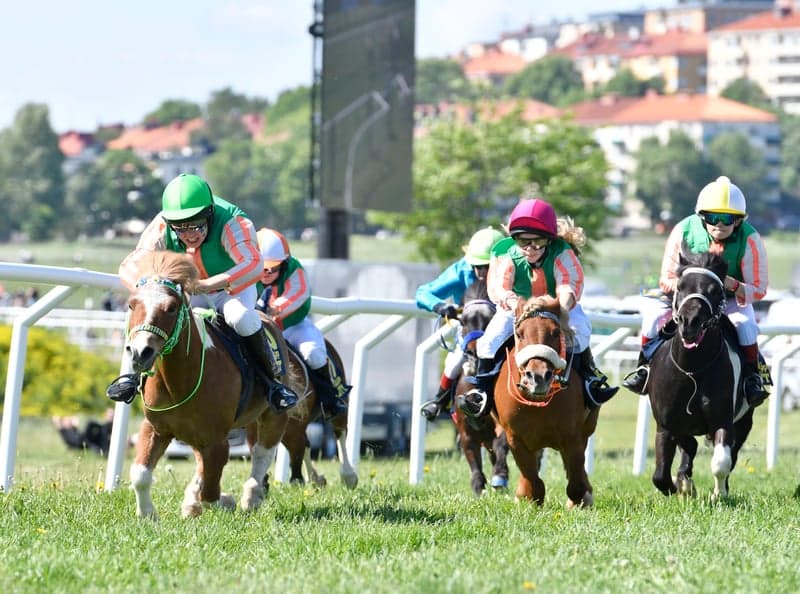 Bild 2 av 🇸🇪 Upplev SM i ponnygalopp på nationaldagsgaloppen på Gärdet!