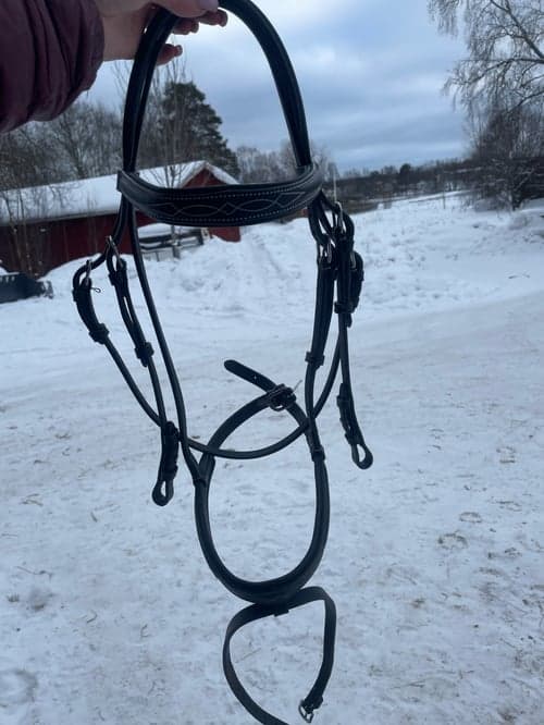 Bild av Svart träns