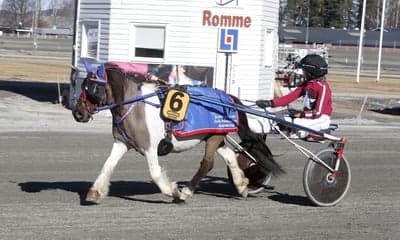 Inlägg 118 av Trav med titeln Ponnytrav
