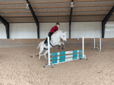 Inlägg 111 av Allround