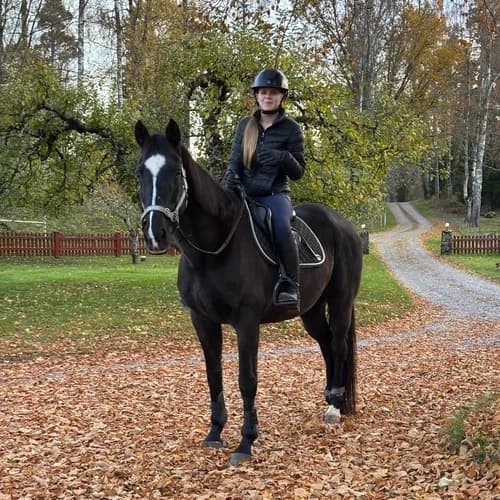 Profile picture of Malin Dahlander