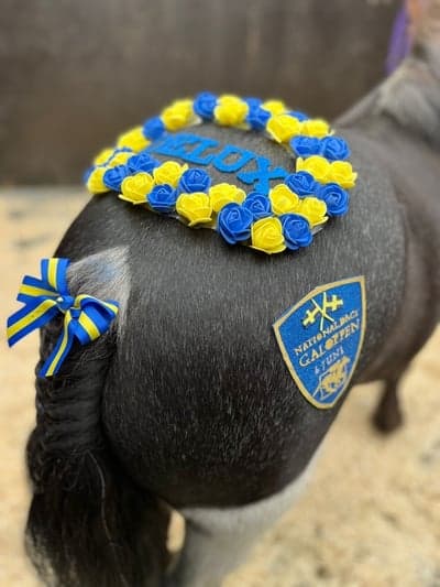 Inlägg 10 av Galopp med titeln Nationaldagsgaloppen Gärdet