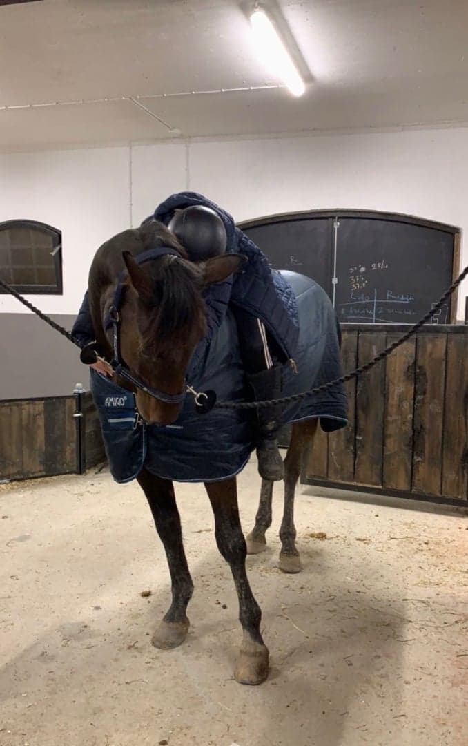 Media 1 av Moon's Rude Boy