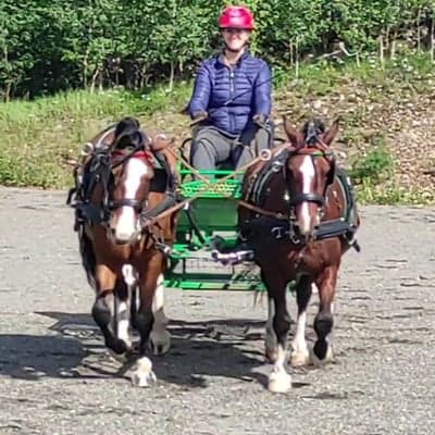 Inlägg 6 av Sportkörning med titeln Partävling