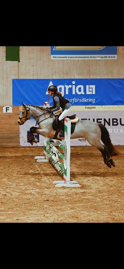 Inlägg 70 av Allround