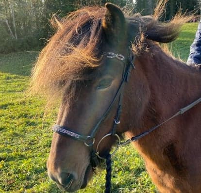 Media 1 av Telpa från lilla fors