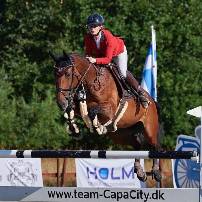 Media 1 of Clann Lux Imp