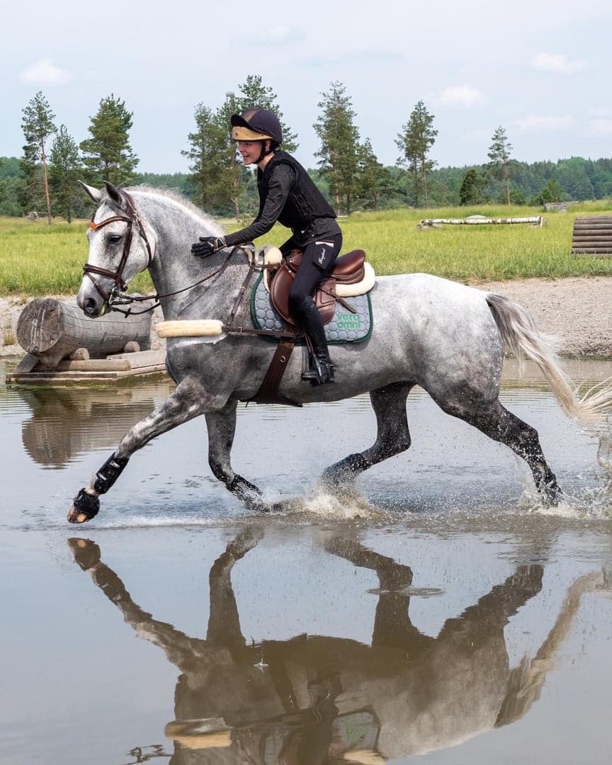 Image 1 of Shiralee Imperial