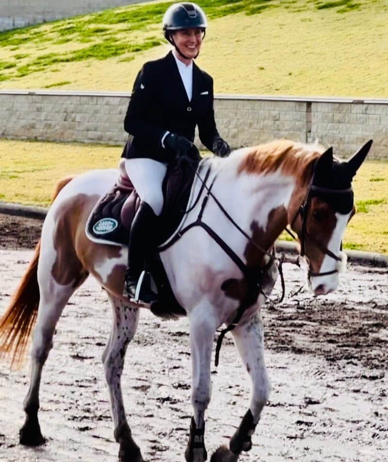 Bild 4 av Talented well breed Jumper