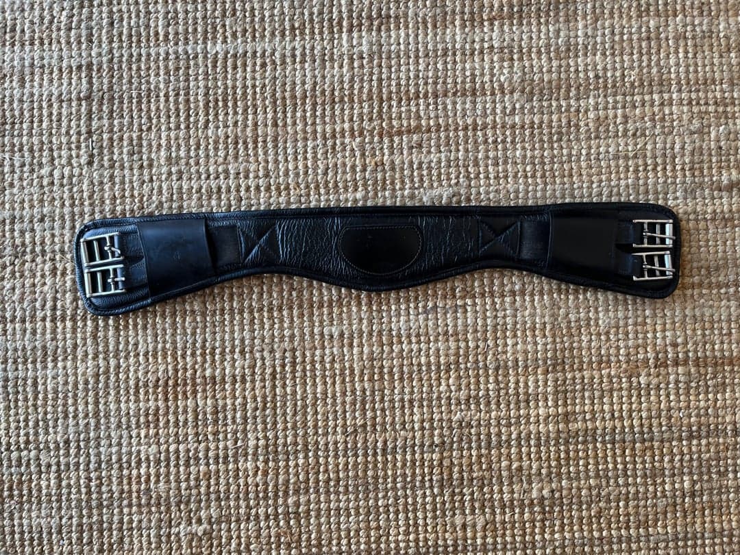 Bild 1 av Svart dressyrgjord