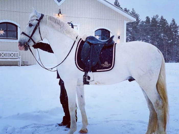 Media 1 of Poseido VJ