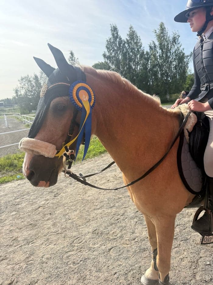 Media 1 av April Dandy