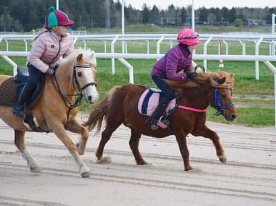 Inlägg 8 av Ponnygalopp med titeln Ponnygalopp 