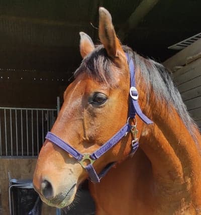 Inlägg 28 av Allround med titeln Inne...