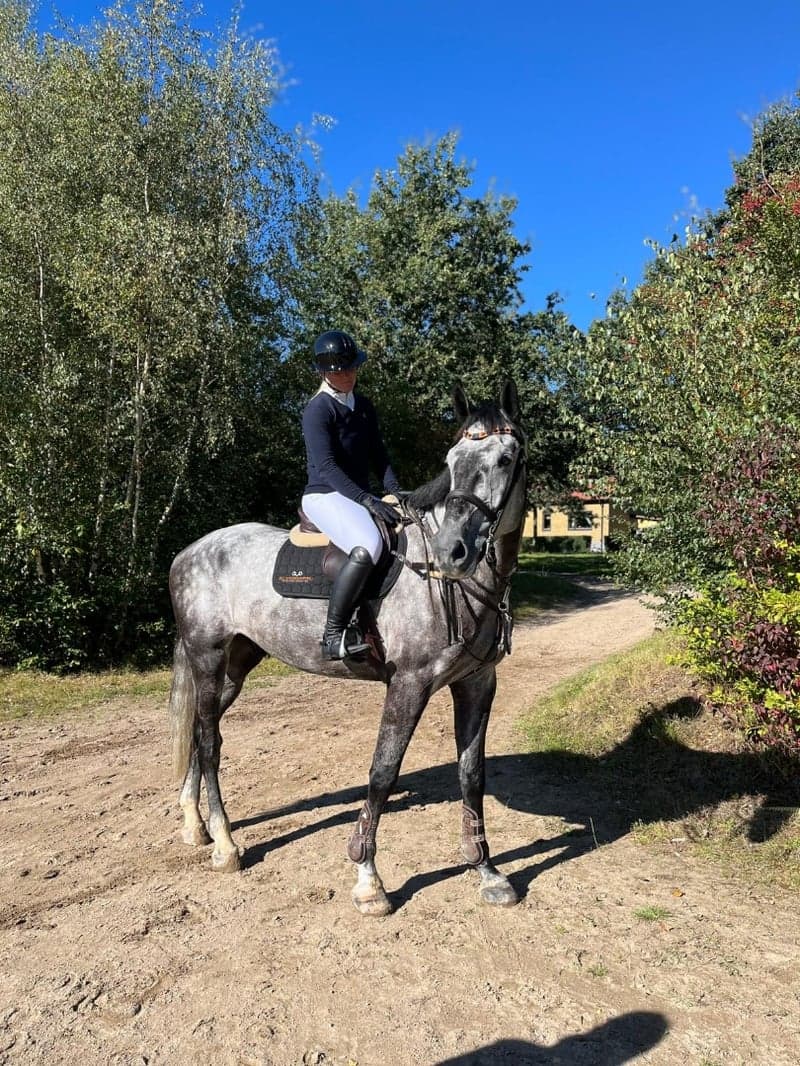 Bild 4 av Fantastisk all-round häst efter Kannatol 