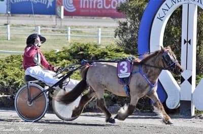 Inlägg 77 av Trav med titeln Ponnytrav 