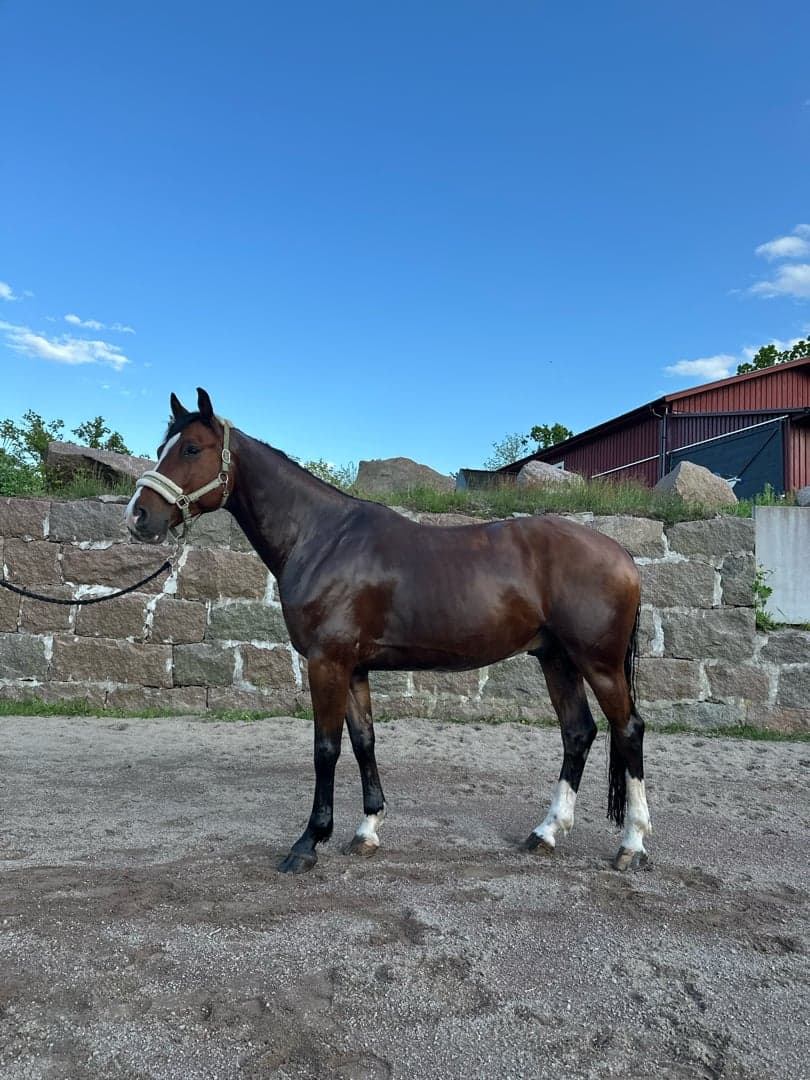 Bild 1 av 8åring efter casall 