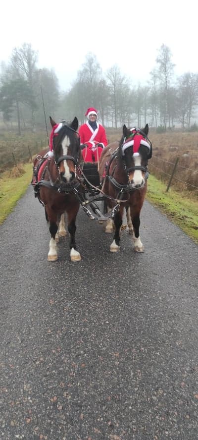 Inlägg 21 av Sportkörning med titeln På viktigt uppdrag 