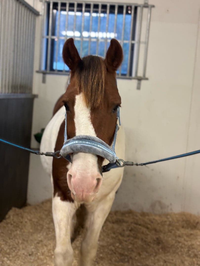 Bild 1 av Waterloo JJ