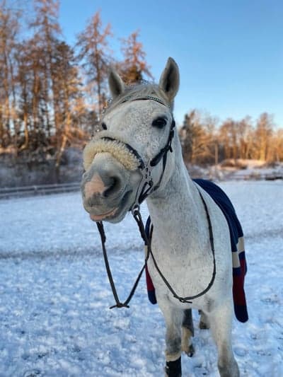 Inlägg 6 av Allround