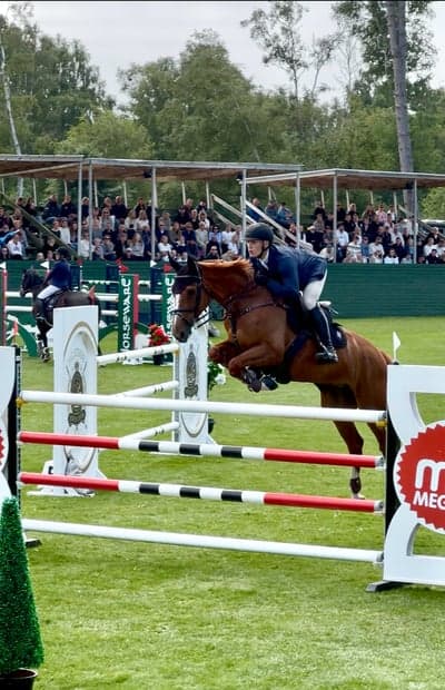 Post 17 of Belgian Warmblood with title Falsterbo 2025