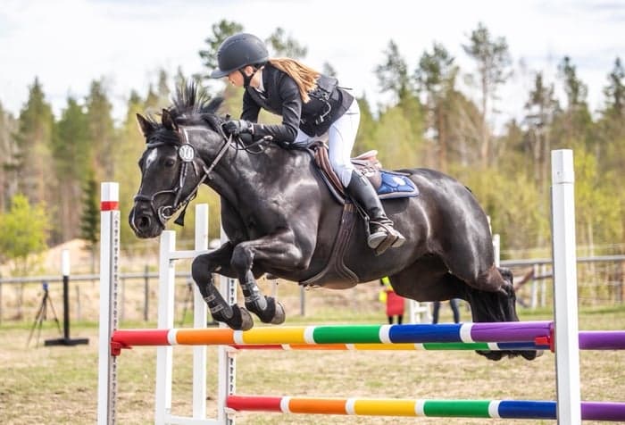 Media 1 of Ahey bridge 4th