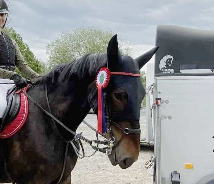 Media 1 av LeonasYouana