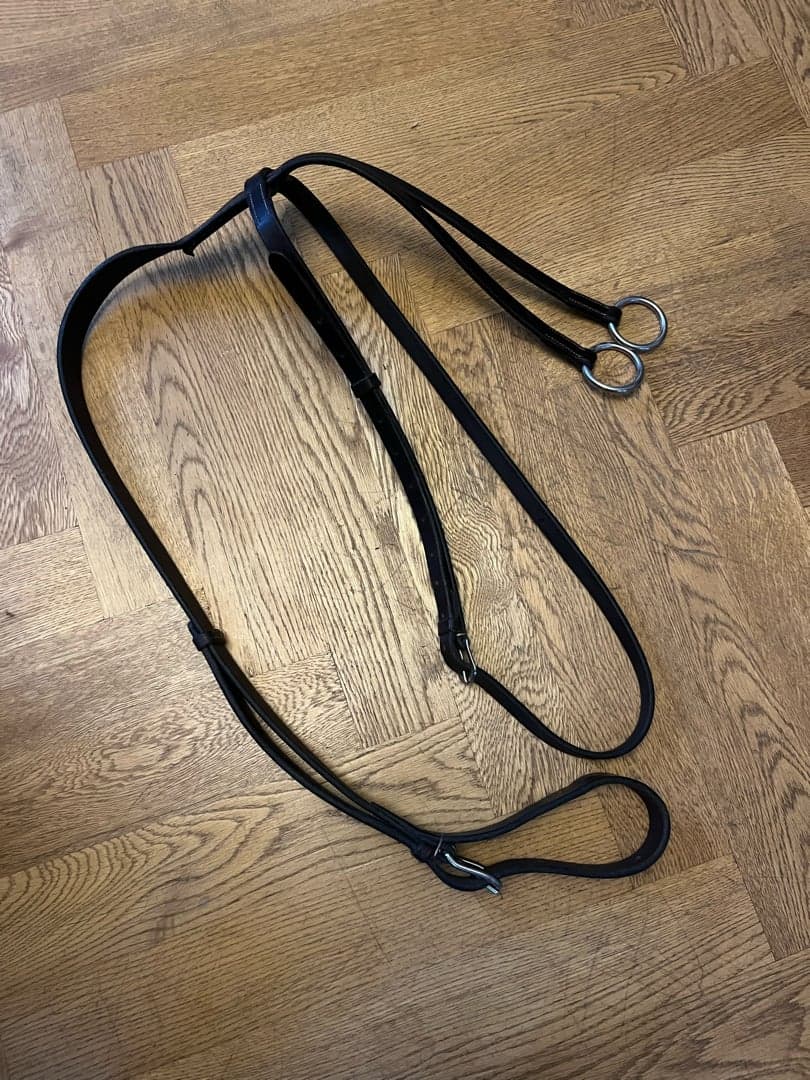 Image 1 of Brun martingal från Lippo. 