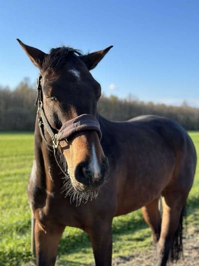 Inlägg 47 av Allround