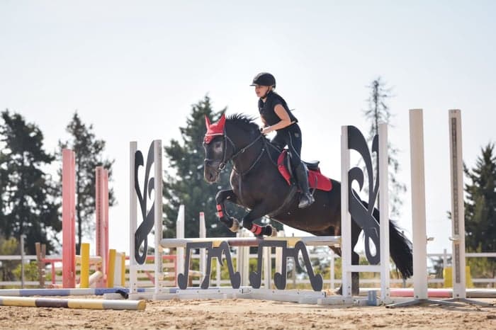 Media 3 av Snäll förstaponny