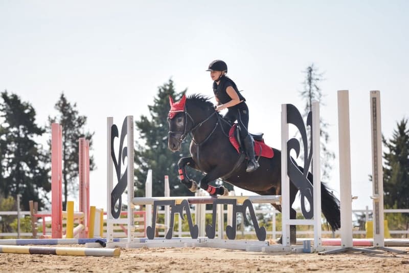 Bild 3 av Snäll förstaponny