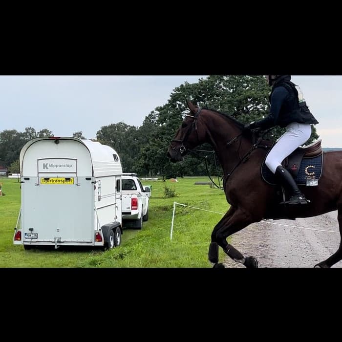 Media 1 av Zoccer Da Carma