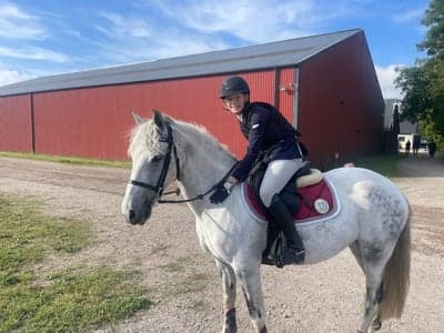 Inlägg 18 av Allround