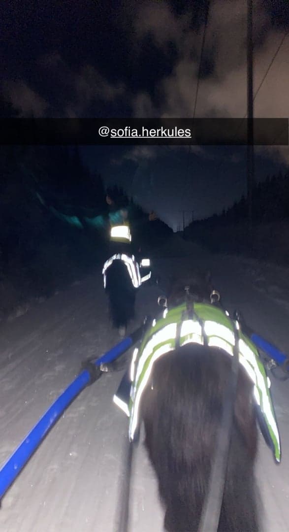 Bild 2 av Hagstads Titan