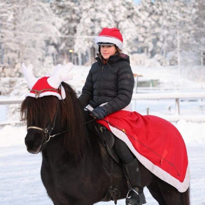 Media 1 av Blakkur frá Brimnesí