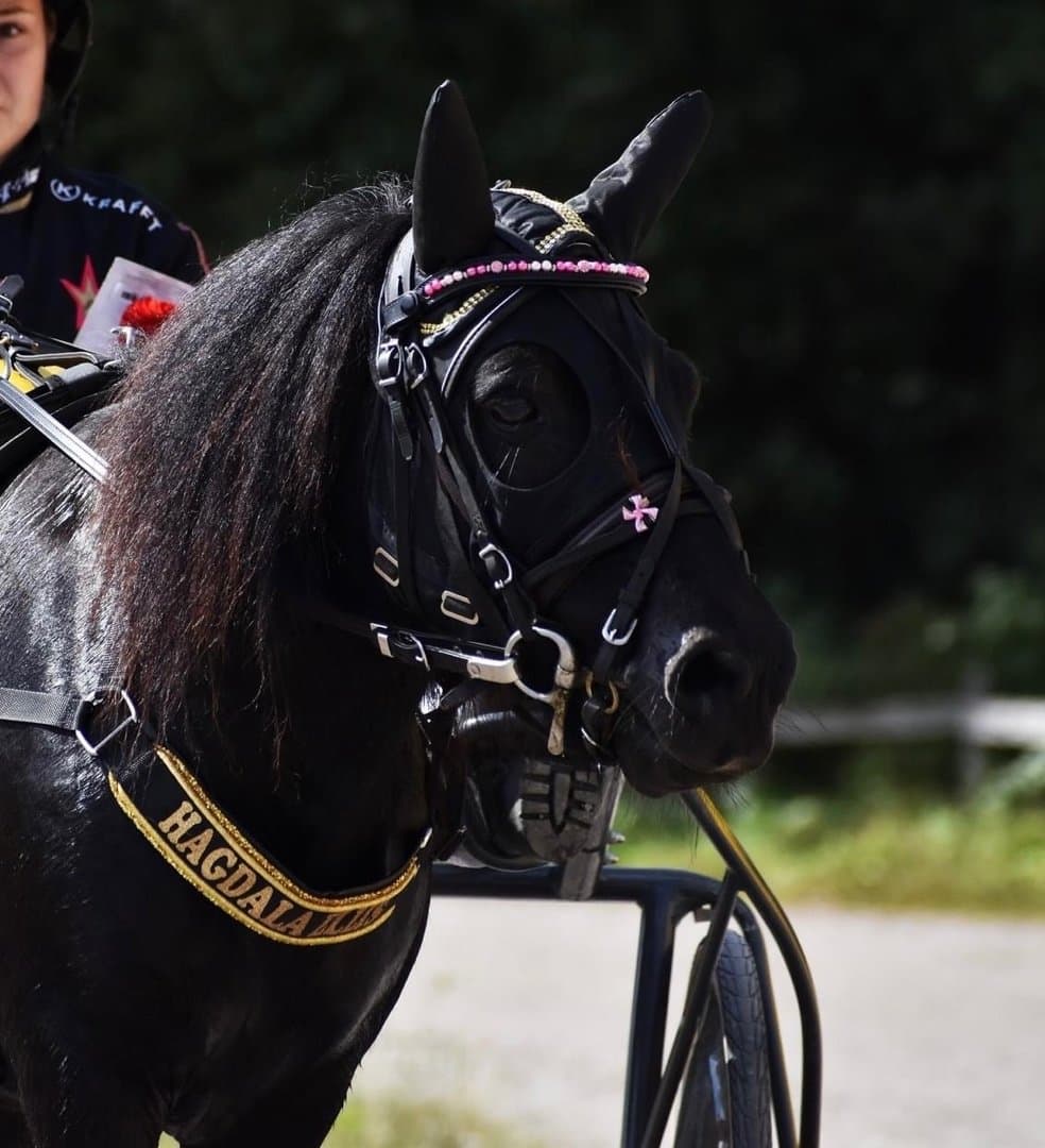 Bild 1 av Hagdala Ellis