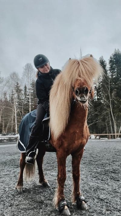 Inlägg 69 av Allround med titeln Beste Baldvin🦄🖤⭐️