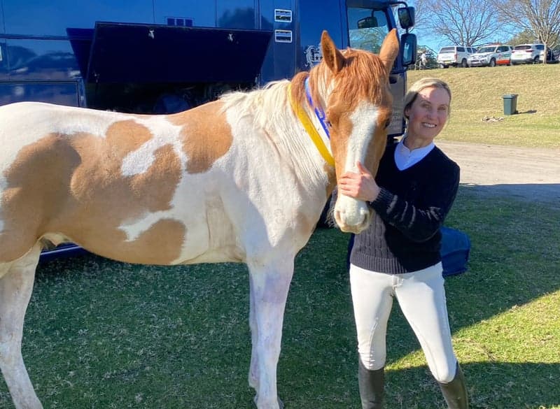 Bild 3 av Talented well breed Jumper