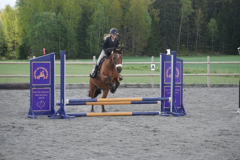 Bild 4 av amber