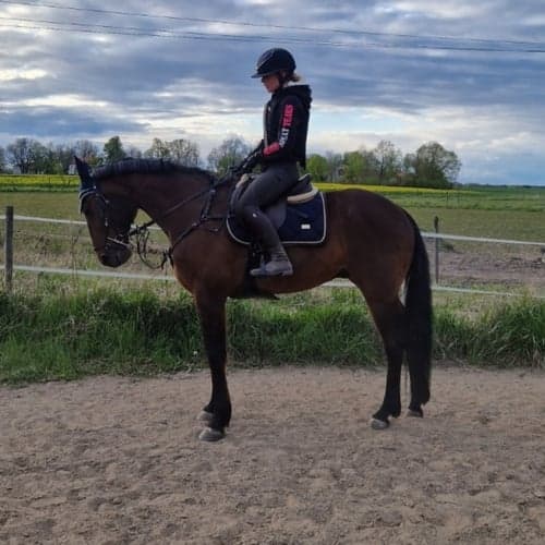 Profilbild av Michelle Anebreid