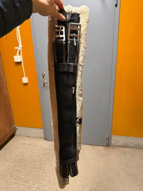 Bild av Svart dressyrgjord från Fairfield