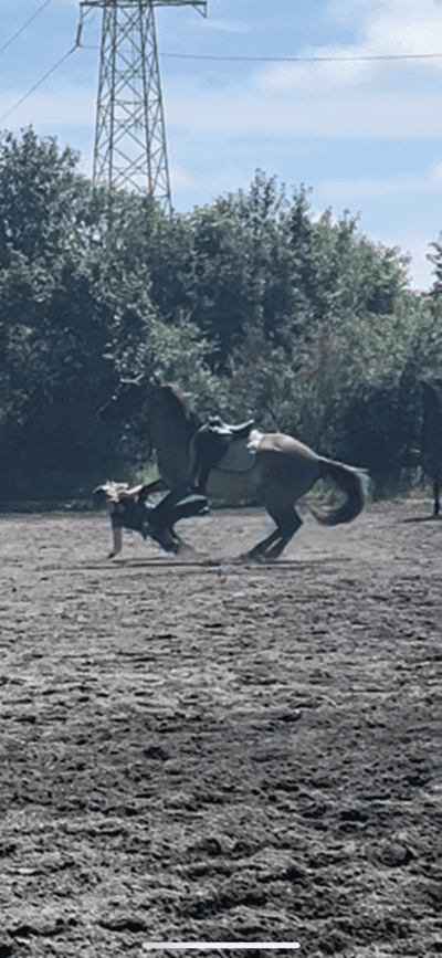 Post 1 of Kiger Mustang with title Ridläger