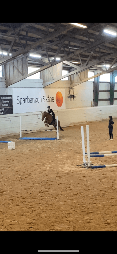 Media 1 of Rut(Rosa)