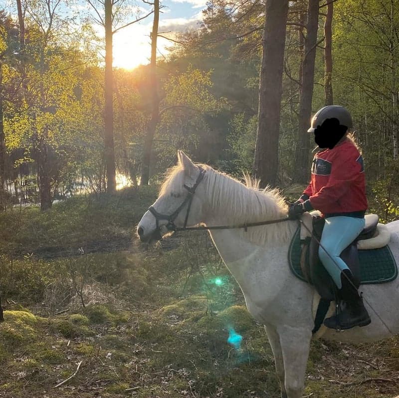 Bild 2 av Grönt equiline schabrak(pris kan diskuteras)