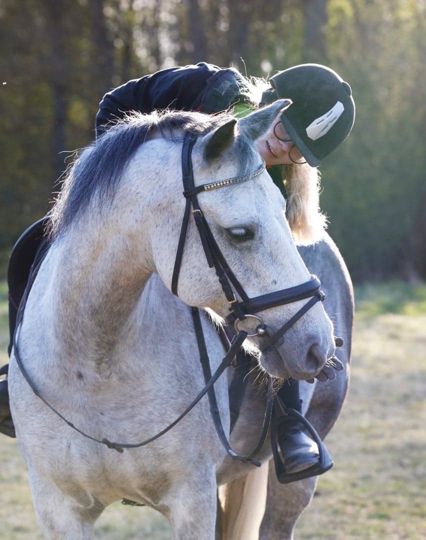 Bild 1 av Rovalds Zanchieff