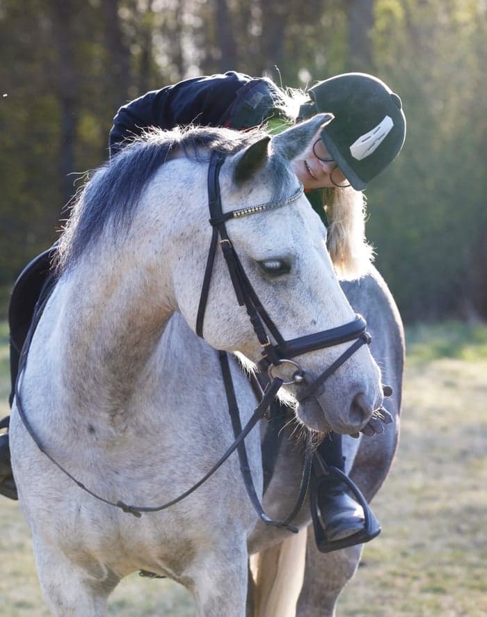 Media 1 av Rovalds Zanchieff