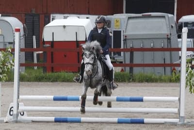 Hopptävling 