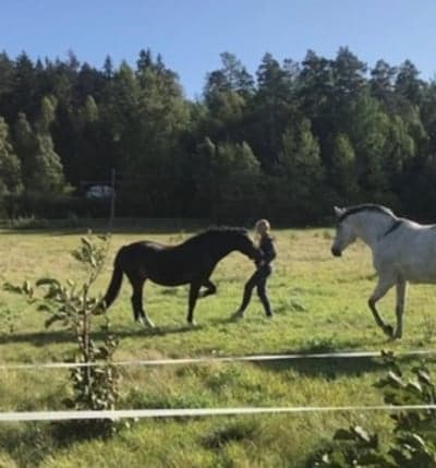 Inlägg 16 av Allround med titeln Trixträning